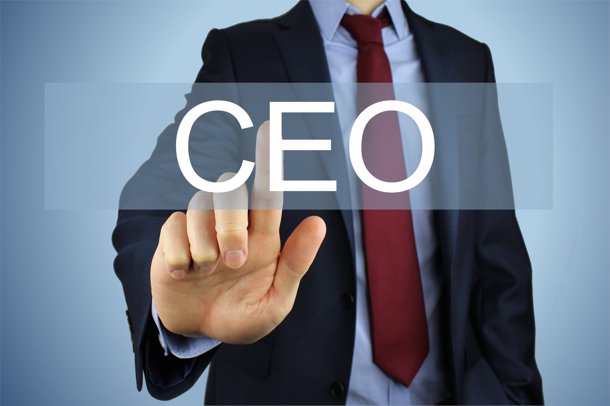CEO of MHP Exports